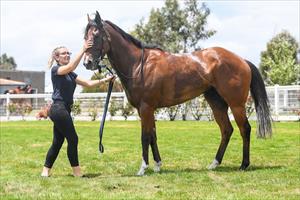 Jackpot Legend & Kristy, Stony Creek 28 Dec 2020 Jackpot Legend & Kristy, Stony Creek 28 Dec 2020